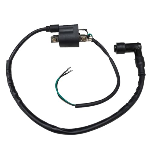 Kick Start Wiring Harness Kit with Light Wires CDI Ignition Coil Regulator Key Switch for Lifan YX 50cc 70cc 110cc 125cc 140cc Pit Bike Trail Dirt Bike ATV CRF50 XR50 CRF70 XR70