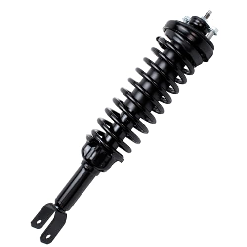 Detroit Axle - 2 Rear Ready Struts for 1996-2000 Honda Civic 1997-2000 EL - size: 171292 x2/PAIR