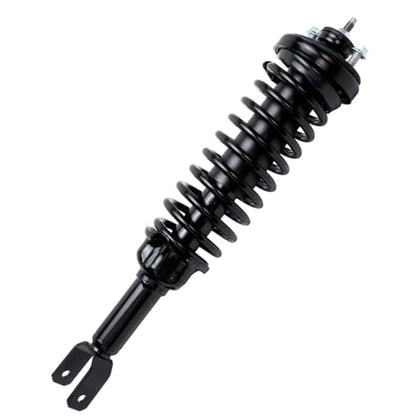 Detroit Axle - 2 Rear Ready Struts for 1996-2000 Honda Civic 1997-2000 EL - size: 171292 x2/PAIR