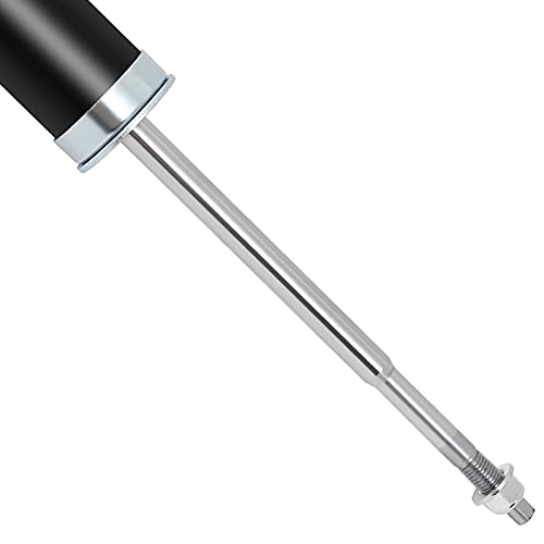 AUTOMUTO Rear Struts Shock Absorbers Fit for Acura EL 2001-2003 - size: 2 Pieces Rear Shock Absorber
