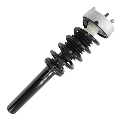 Detroit Axle - Front Struts w/Coil Spring for 2014-2018 BMW X5 2015-2019 X6 - size: 13480x2/Pair