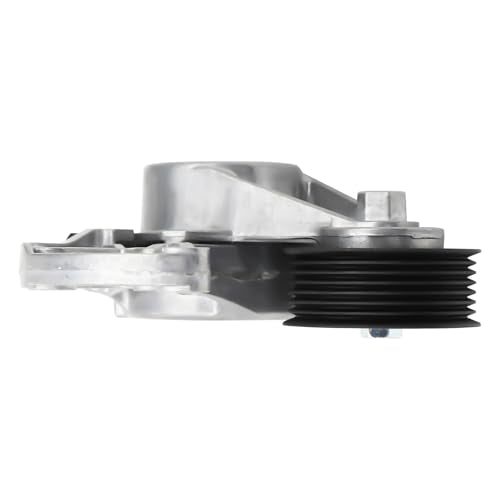 38317 Belt Tensioner Assembly with Pulley, Replace 95510236100, 022145299E - size: H-022145299E