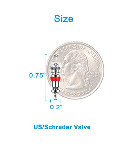 Riseuvo 100Pcs Schrader Tire Valve Cores - size: 100pcs-valvecores