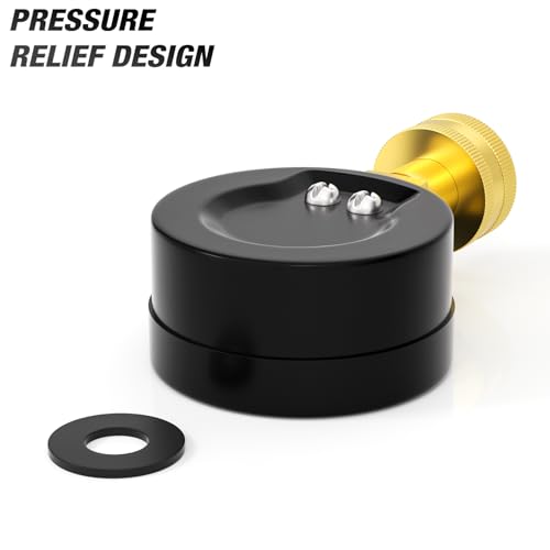 MEANLIN MEASURE 0-100psi Water Pressure Gauge, 3/4" Female 2.5" FACE DIAL Water Pressure Test Gauge with Sealing Ring, Water Pressure Gauge for Home - color: Black, size: 0-100Psi