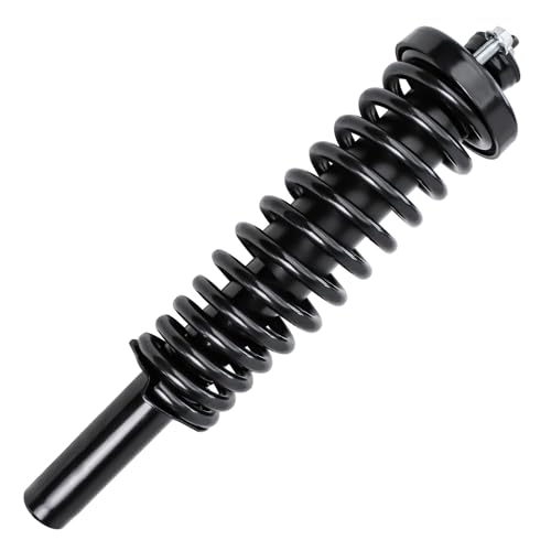 Detroit Axle - 2 Front Struts for 1996-2000 Honda Civic - size: 171291L_171291R/PAIR