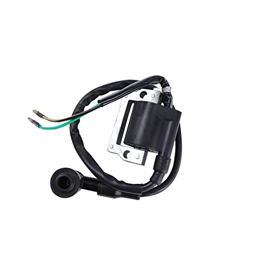 PRO BAT 125cc Chinese ATV Full Wiring Harness 5-Pin AC CDI Spark Plug Kits