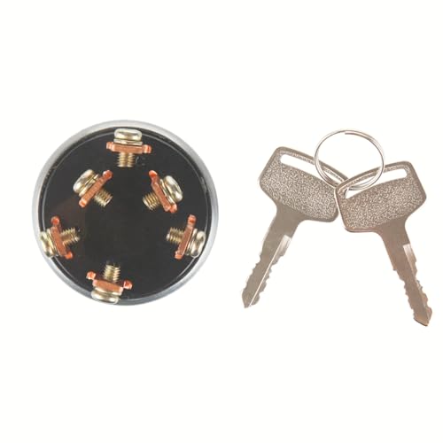 Larbi Ignition Switch with 4 Position 6 Terminal Wire Digger 2 Keys