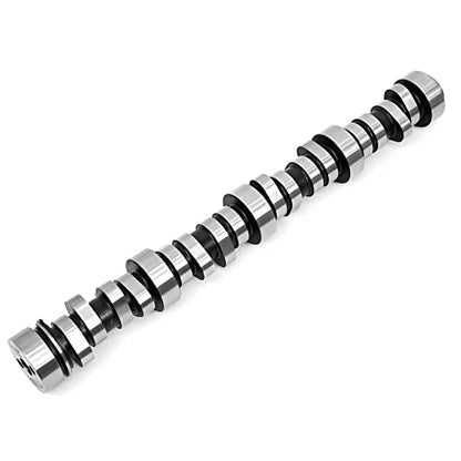 Texas Speed Stage 1 Low Lift Camshaft 4.8 5.3 6.0 Includes Cam, Springs, Pushrods, Seals and Gasket Install Kit - size: Camshaft, Springs, Seals and Pushrods