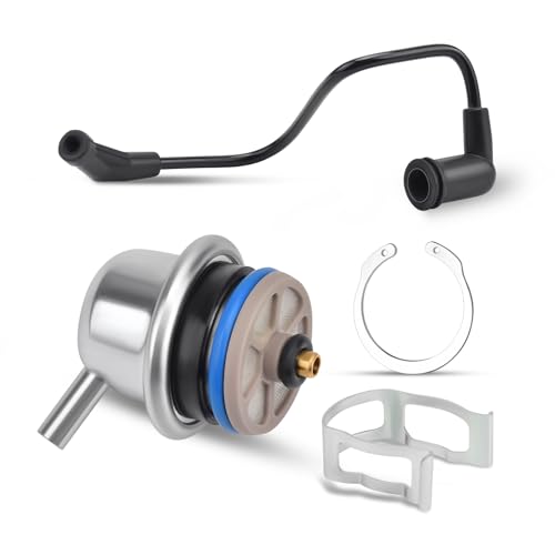 Fuel Injection Pressure Regulator w/Vacuum Line Fits for Chevy Avalanche 1500/Express 1500 2500 3500/Silverado Replaces 89060418 17113556