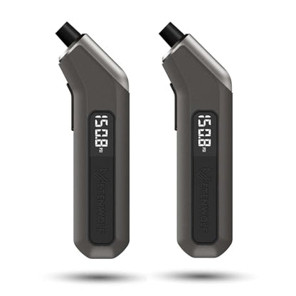 ETENWOLF T300 2 Pack Digital Tire Pressure Gauge 200 PSI for Car Tires - color: Space Grey