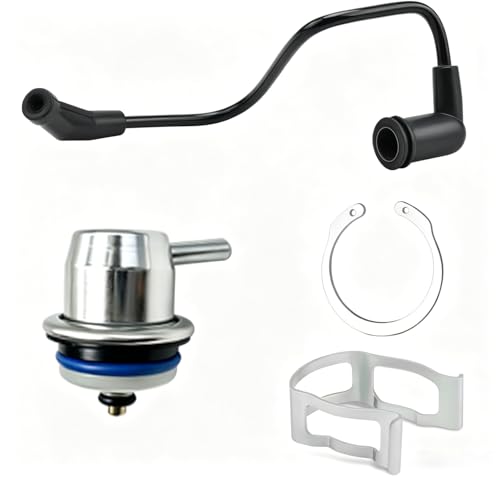 Fuel Injection Pressure Regulator with Vacuum Line, Fits Chevy Avalanche 1500, Express 1500/2500/3500, Silverado, Replaces 89060418 17113556