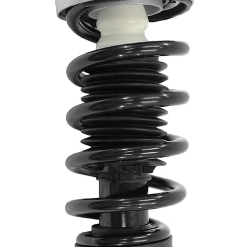 Detroit Axle - Front Struts w/Coil Spring for 2014-2018 BMW X5 2015-2019 X6 - size: 13480x2/Pair