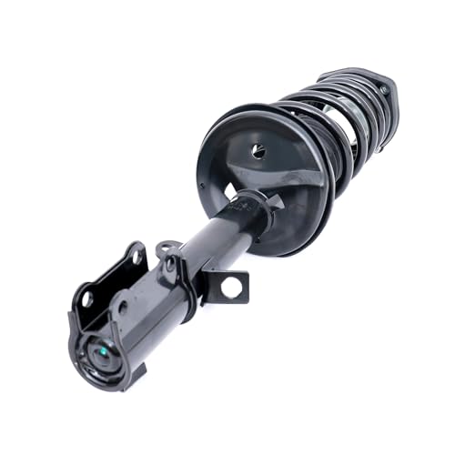 FKG 171953 171954 Rear Shock absorber Strut Assembly Fit for 1993-2002 Toyota Corolla (Not for Wagon Models), 1998-2002 Chevy Prizm, 1993-1997 Geo Prizm, Set of 2