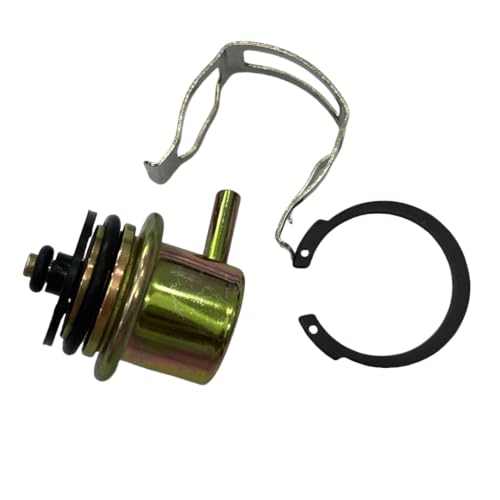 17109102 PR207 Fuel Injection Pressure Regulator