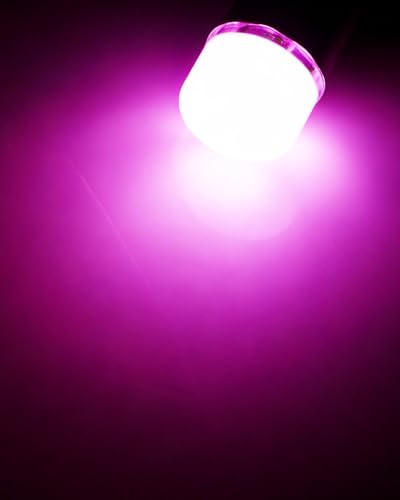 Qasim 1893 LED Bulb BA9S 1895 53 57 12V Pink Car Light 10-Pack - color: Pink