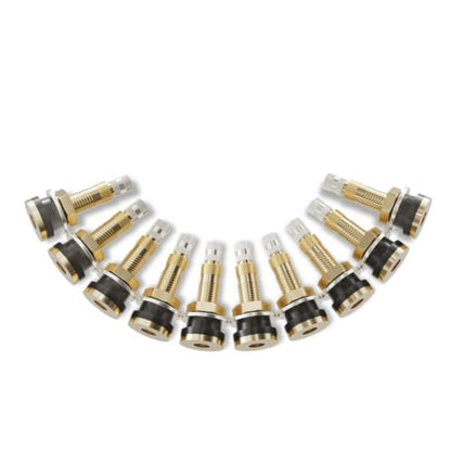 CKAuto TR618A Tubeless Air Liquid Tractor Clamp-in Valve Stems, 10 Pcs/Pack - color: TR618A10
