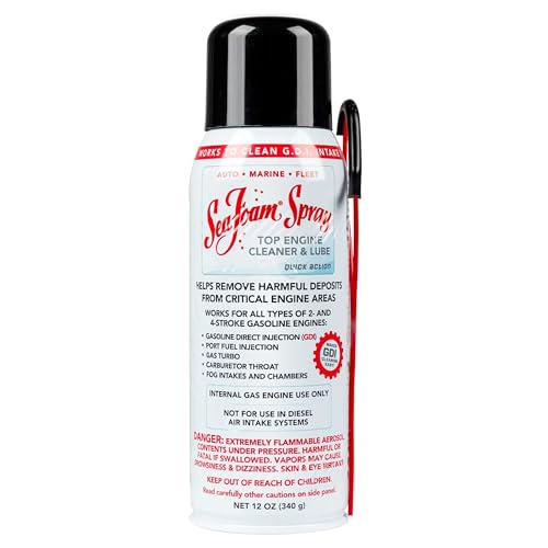 Sea Foam Spray Intake System and Valve Cleaner, 14 oz, Pack of 1 - size: Pack of 1