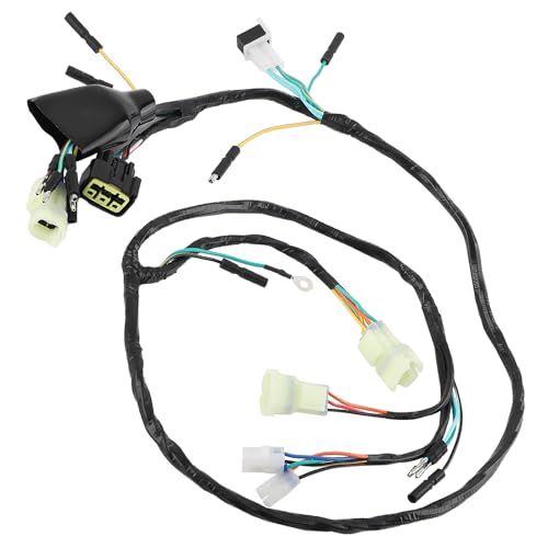 maXpeedingrods CDI Ignition Coil Switch Wiring Harness Assy for Honda ATV TRX400EX A - SPORTRAX 400EX 1999-2004, Replaces 30500-HN1-003, 30700-KCZ-000, 30410-HN1-003, 31600-HM8-013