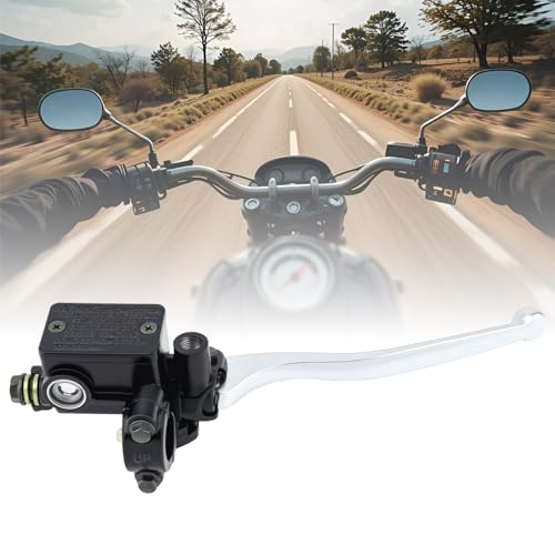 Windance 22mm 7/8inch M10 Motorcycle Handlebar Brake Lever Pump with 10mm Mirror Hole Front Right Hand Brake Master Cylinder Clutch Compatible with Yamaha Suzuki Honda Kawasaki (Right Hand) - style: Right Hand
