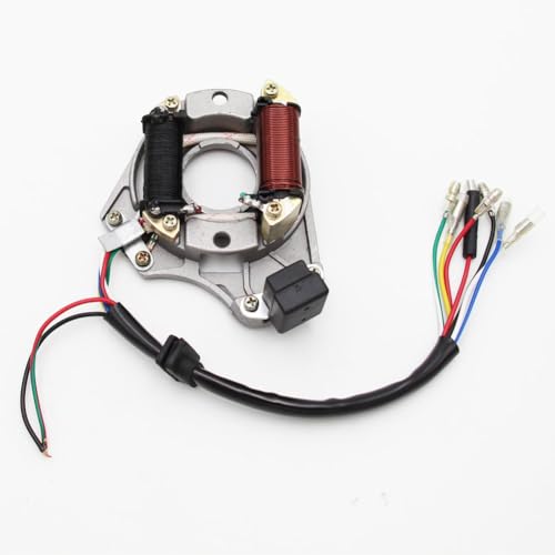 PRO BAT 110cc ATV Full Wiring Harness w/ 2-Coil Stator 5-Pin AC CDI - color: White Spark Plug