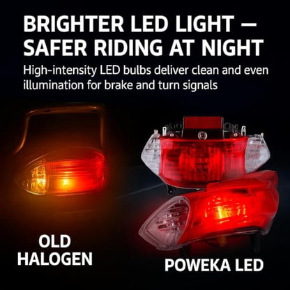 GY6 LED Rear Tail Light Assembly for 50cc 125cc 150cc Scooters and Mopeds