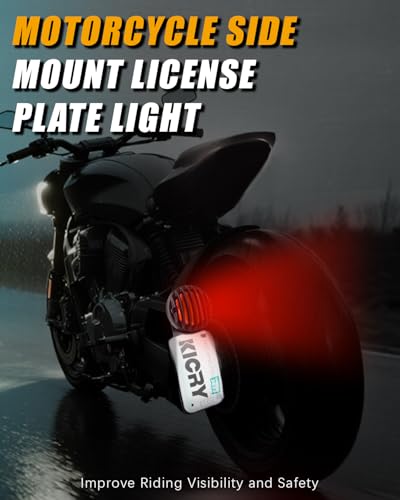 Motorcycle Tail Lights Chopper Side Mount LED Brake License Plate Light Compatible for Harley Bobber Cafe Racer Cruiser Honda Shadow Yamaha Suzuki Kawasaki (1'' Mount Hole) - color: 1'' Mount Hole