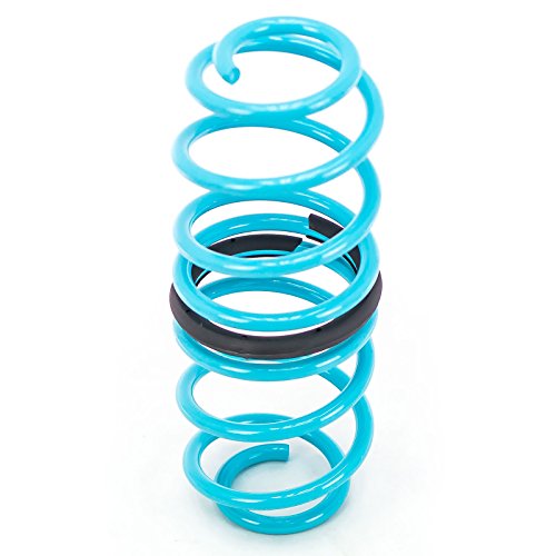 Godspeed LS-TS-FD-0002 Traction-S Performance Lowering Springs, Reduce Body Roll, Improved Handling, Set of 4, compatible with Ford Fiesta (MK6) 2011-19