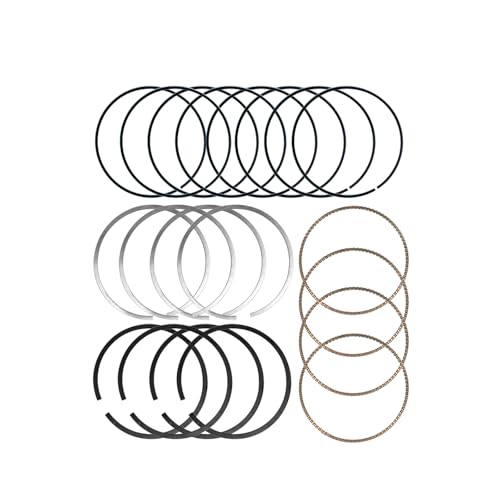 STD Engine Piston Ring Kits Compatible with Mini Cooper Countryman Paceman - color: 11257566479 Engine Piston Ring
