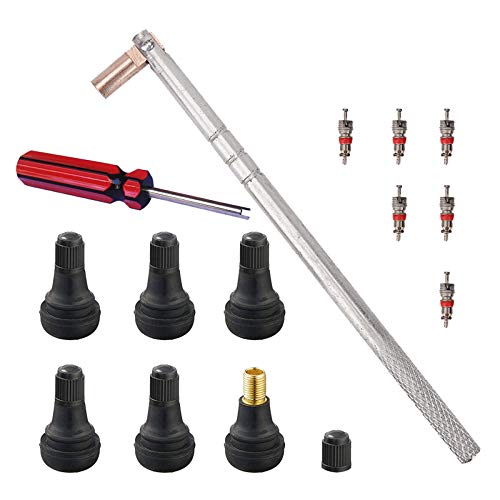 FEBRYTOLD Tire Valve Stem Tool Remover & Installation, 6 Pcs TR412 Snap-in Valve Stems with Valve Stem Cores, 1 Pcs Single Head Tire Valve Core Remover Installer Tool (14 Pcs) - size: 14 pcs