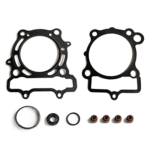Full Engine Rebuild Gasket Kit, Compatible with Kawasaki KX250F, Top End Cylinder Head and Conversion Sealing Set