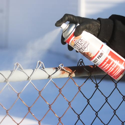 AGS RUST SOLUTIONS Rust Spray Paint, 14oz, Durable Matte Grey Finish, Safe for All Surfaces, Eradicate Rust and Ensure Long-Lasting Protection Against Weather and Wear - color: Matte Gray, size: 14 Ounce (Pack of 1)