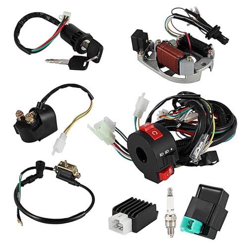 Electric Wiring Harness Relay Stator Coi Solenoid Spark Plug for ATV