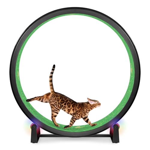 One Fast Cat - Cat Exercise Wheel - Made in the USA - 48" Diameter - Gen. 7 - color: Black Wheel / Tropical Frogs Foam / LED Inline