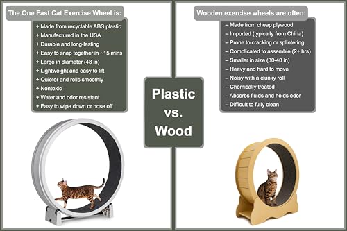One Fast Cat - Cat Exercise Wheel - Made in the USA - 48" Diameter - Gen. 7 - color: White Wheel / Tropical Frogs Foam / LED Inline
