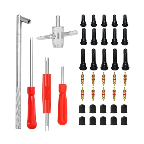 40PCS Car Valve Stem Puller and Installer, Includes 4 Way Double and Single Head Tire Valve Core Remover Tool Kit, 5PCS TR412 TR413 TR414 Snap-in Stem, Universal for Most Vehicles