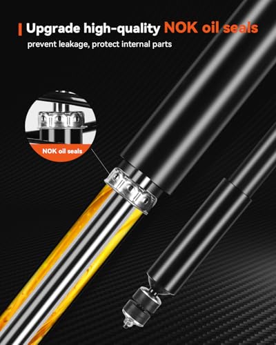PROEZE Rear Strut Assembly for 2006-2011 Civic, Shock Absorber Rear Replace 5609, 2PCS - size: 06-11 Civic-Rear