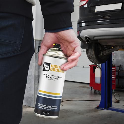 HIGH GROUND Factory Matched Automotive Spray Paint for Ford Automobiles (Ford N1, Blue Jeans (Solvent))