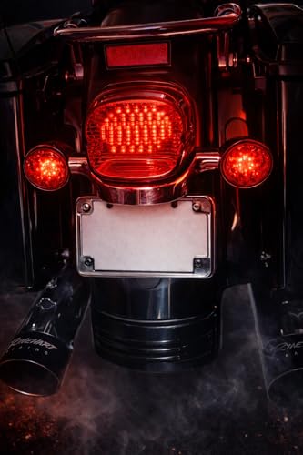 Eagle Lights Strobing LED Brake Light for Harley Davidson Motorcycles with Bottom License Plate Window - color: Red with Bottom License Plate Window