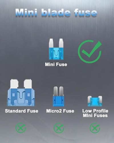 Riseuvo 250Pcs Mini Blade Fuses Assortment Kit with Fuse Puller - size: Mini