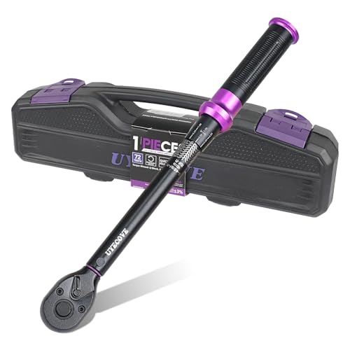 3/8" Inch Drive Click Torque Wrench 5-45 FT-LB/6.8-61N.M, ±3% Accuracy, Dual-Direction Click Professional Torque Wrench, Dual Range Scales Graduated in FT.LB and N.M, Purple - size: 3/8" 5-45 FT.LB(Purple)