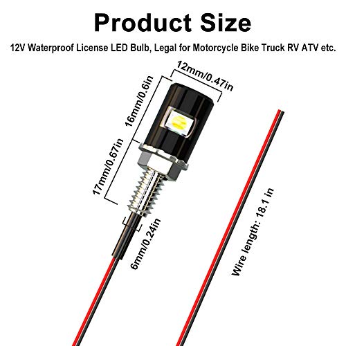 License Plate Light, License Tag Screw Bolt Lamp,12V White LED Lights(4PCS)