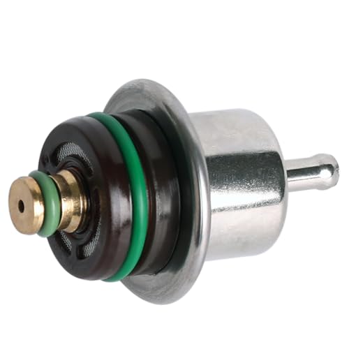 Fuel Pressure Regulator PR317 Compatible with Ford E-150 E-250 E350 E-450 E-550 Excursion F-150 F-250 F-350 F-450 F-550 F53 Taurus Windstar Mercury Sable #0280160527 217-3073 PR203 PR217