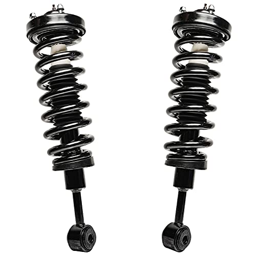 Detroit Axle - 4WD Front Struts for 04-08 Ford F-150 06-08 Lincoln Mark LT - size: 171361 x2/PAIR