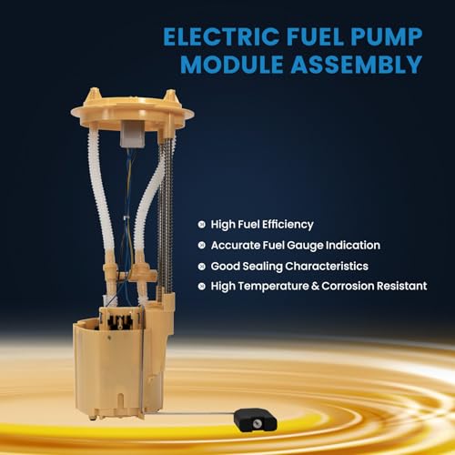 KELOKE Electric Fuel Pump Module Assembly Compatible with Dodge - color: E7181M