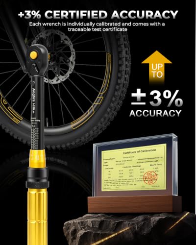 1/4" Torque Wrench Set with Bit Sockets, 10-220 in.lb Precision Click Torque Wrench Kit, S2 Steel Bits, Extension Bar & Case for Bike and Auto Repair - size: 1/4"