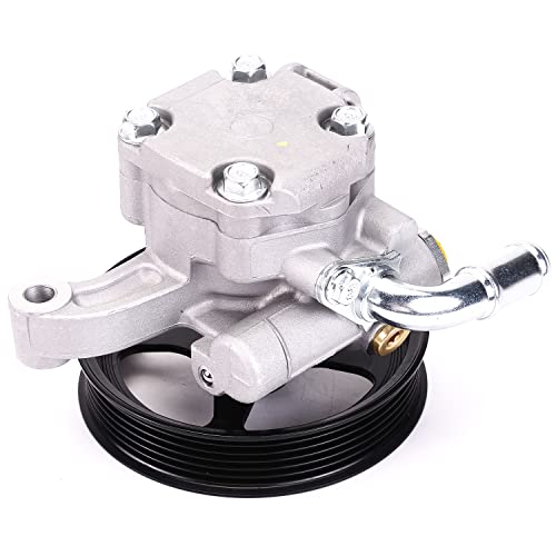 20954812 Power Steering Pump with Pulley Compatible with Buick Chevy GMC Saturn 2008-2017 20-2403 96-2403