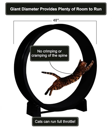 One Fast Cat - Cat Exercise Wheel - Made in the USA - 48" Diameter - Gen. 7 - color: Black Wheel / Black Felt / Black Inline