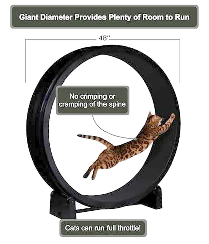 One Fast Cat - Cat Exercise Wheel - Made in the USA - 48" Diameter - Gen. 7 - color: Black Wheel / Black Felt / Black Inline