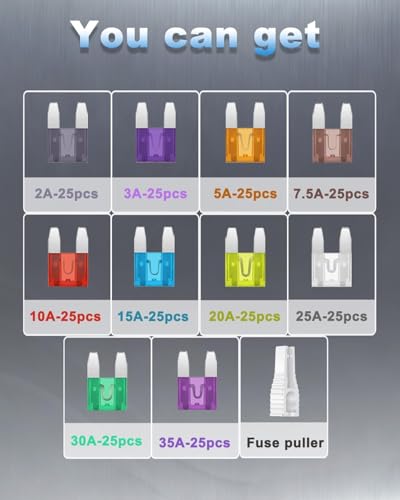 Riseuvo 250Pcs Mini Blade Fuses Assortment Kit with Fuse Puller - size: Mini