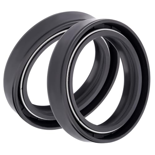 Road Passion 40x52x10mm Front Fork Oil Seal and Dust Seal Kit for Aprilia Scarabeo 400/500 2005-2007 /Red Rose 125 Custom 1995-1999 - color: Oil Seal